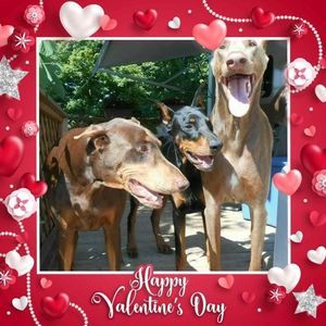 Meet your Posher, Annette